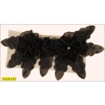Collar Applique floral Chiffon with Rhinestones 5 1/4x10 1/2" Black