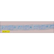 Beaded Embroidered Organza Tape 5/8" Light Blue