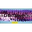 5 Row Sequin Stretch Braid 1 7/8" Purple, Fuchsia and Rust