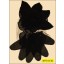 Applique floral chiffon on mesh 10 1/8x7 1/2" Black