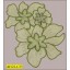 Organza Flower Applique with Lurex 5" 